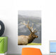 Portrait Of Captive Mature Rocky Mountain Bull Elk Wall Mural