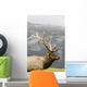 Portrait Of Captive Mature Rocky Mountain Bull Elk Wall Mural