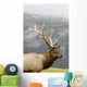Portrait Of Captive Mature Rocky Mountain Bull Elk Wall Mural