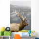 Portrait Of Captive Mature Rocky Mountain Bull Elk Wall Mural