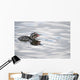 Horned Grebe Chick Swims In Goldstream Valley Peat Pond Near Fairbanks Wall Mural