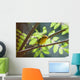 Female Wilson's Warbler Perched On Mountain Ash Branch Wall Mural