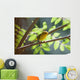 Female Wilson's Warbler Perched On Mountain Ash Branch Wall Mural