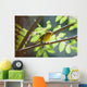 Female Wilson's Warbler Perched On Mountain Ash Branch Wall Mural