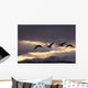 Four Trumpeter Swans Arrive At Marsh Lake As A Squall Moves Wall Mural