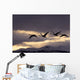Four Trumpeter Swans Arrive At Marsh Lake As A Squall Moves Wall Mural