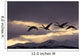 Four Trumpeter Swans Arrive At Marsh Lake As A Squall Moves Wall Mural