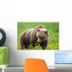 A Brown Bear Forages On Dandelions Wall Mural