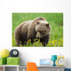 A Brown Bear Forages On Dandelions Wall Mural