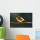 Female Wilson's Warbler Perched On Mountain Ash Branch Wall Mural
