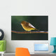 Female Wilson's Warbler Perched On Mountain Ash Branch Wall Mural