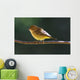 Female Wilson's Warbler Perched On Mountain Ash Branch Wall Mural
