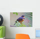 Male Varied Thrush Perched On Mountain Ash Branch Wall Mural