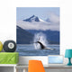 On A Sunny Morning A Humpback Whale Repeatedly Pounds Its Flukes Wall Mural