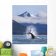 On A Sunny Morning A Humpback Whale Repeatedly Pounds Its Flukes Wall Mural