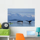 Group Humpback Whales Lift Wall Decal