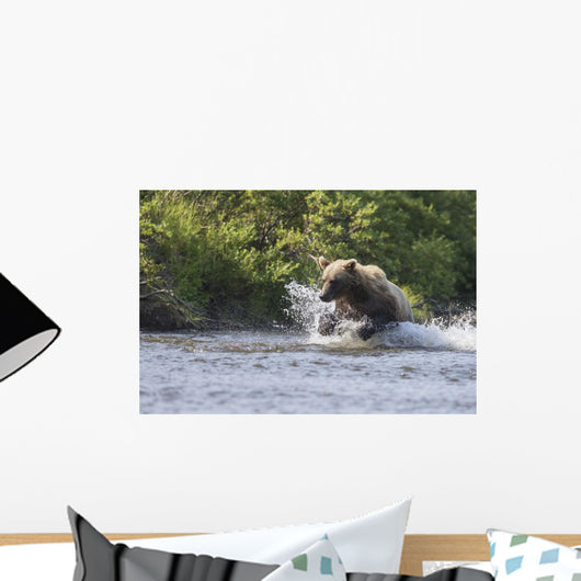 A Brown Bear Chases Sockeye Salmon Wall Mural