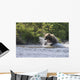 A Brown Bear Chases Sockeye Salmon Wall Mural