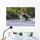 A Brown Bear Chases Sockeye Salmon Wall Mural