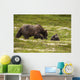 A Brown Bear Cub Plays Wall Mural