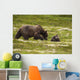 A Brown Bear Cub Plays Wall Mural