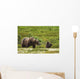 A Brown Bear Cub Plays Wall Mural