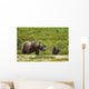 A Brown Bear Cub Plays Wall Mural