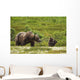 A Brown Bear Cub Plays Wall Mural