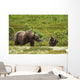 A Brown Bear Cub Plays Wall Mural
