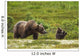 A Brown Bear Cub Plays Wall Mural