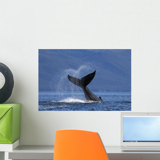 On A Sunny Morning A Humpback Whale Lays Wall Mural
