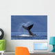 On A Sunny Morning A Humpback Whale Lays Wall Mural
