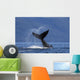 On A Sunny Morning A Humpback Whale Lays Wall Mural
