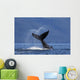 On A Sunny Morning A Humpback Whale Lays Wall Mural