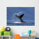 On A Sunny Morning A Humpback Whale Lays Wall Mural