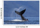 On A Sunny Morning A Humpback Whale Lays Wall Mural