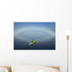 A Sea Kayaker Paddles Wall Mural