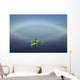 A Sea Kayaker Paddles Wall Mural