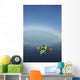 A Sea Kayaker Paddles Wall Mural