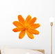 Cosmos and Daisy Flowers Wall Decal