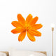 Cosmos and daisy flowers isolated Wall Decal