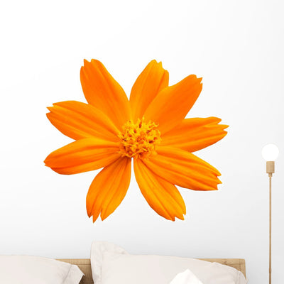 Cosmos and Daisy Flowers Wall Decal shown on a wall