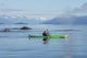 A Sea Kayaker Watches As A Group Of Humpback Whales Surface Wall Mural