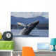 Humpback Whale Breaches as Wall Decal 5