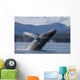 Humpback Whale Breaches as Wall Decal 5