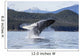 Humpback Whale Breaches as Wall Decal 4