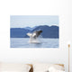 Humpback Whale Breaches as Wall Decal 2 