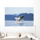 Humpback Whale Breaches as Wall Decal 2 