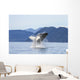 Humpback Whale Breaches as Wall Decal 2 