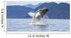 Humpback Whale Breaches as Wall Decal 2 